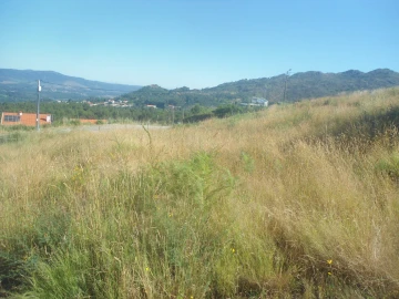 Terreno para Venda em Loivo