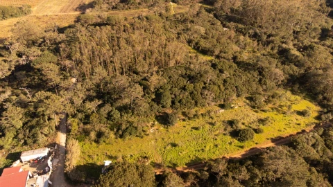 Terreno para Venda em Usseira