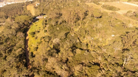 Terreno para Venda em Usseira