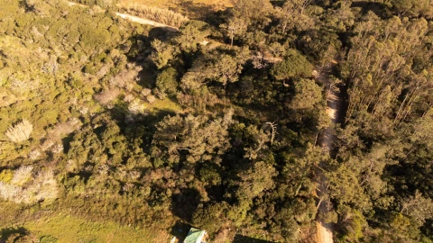 Terreno para Venda em Usseira