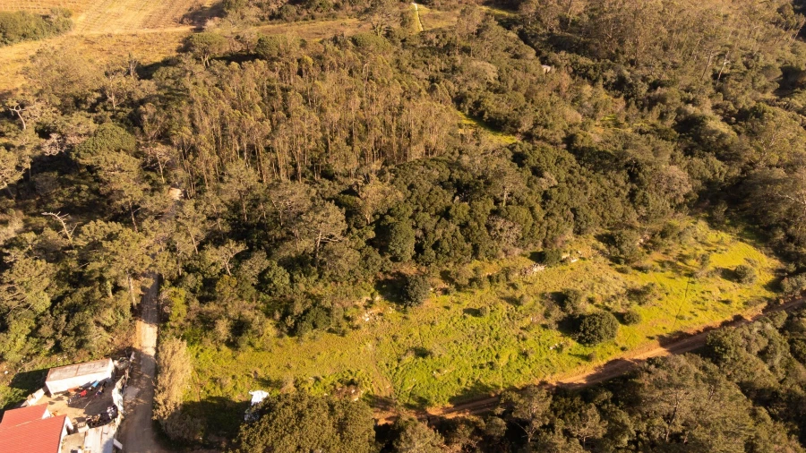 Terreno para Venda em Usseira
