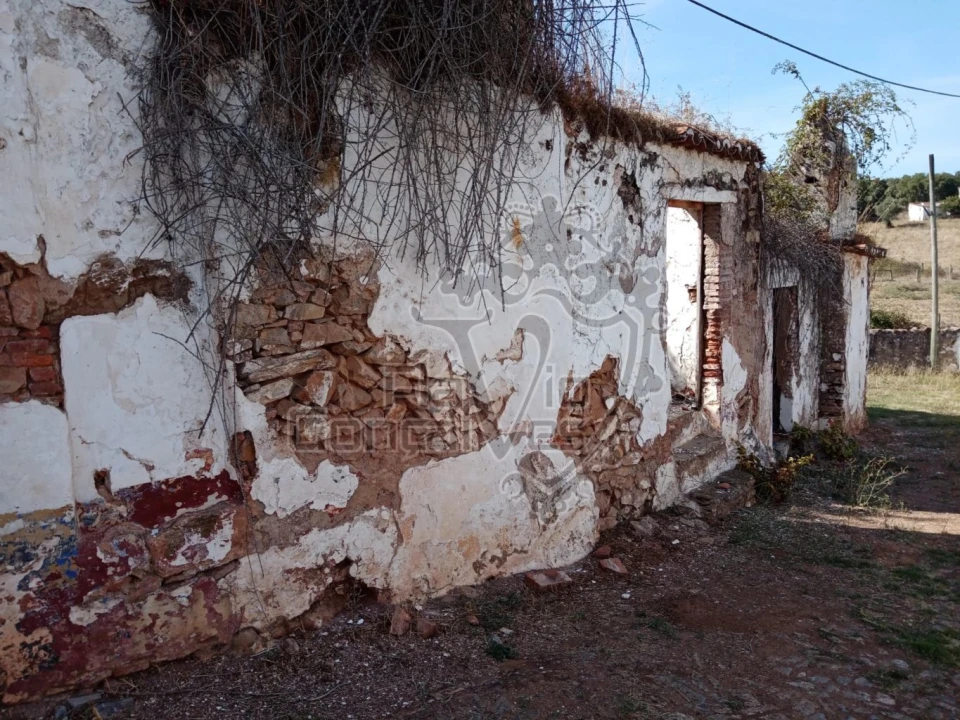 Moradia T5 para Venda em Estremoz (Santa Maria e Santo André) Foto 5