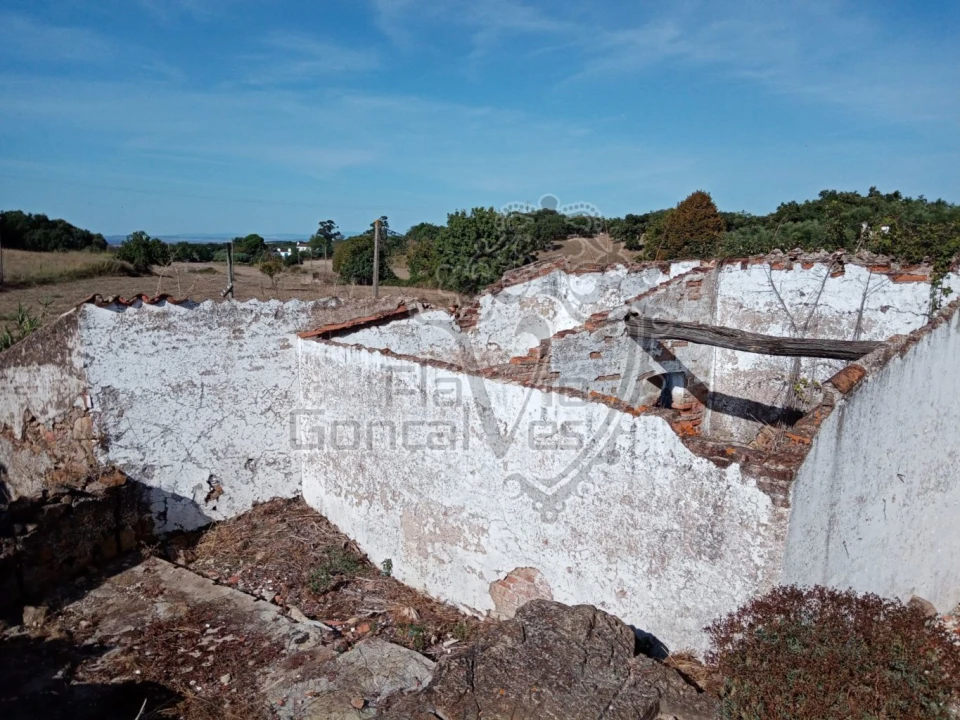 Moradia T5 para Venda em Estremoz (Santa Maria e Santo André) Foto 4