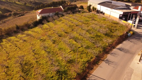 Terreno para Venda em Usseira