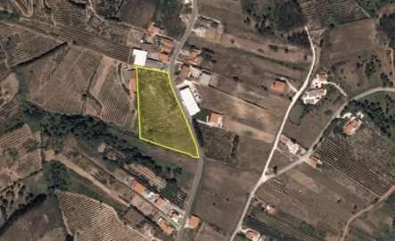 Terreno para Venda em Usseira