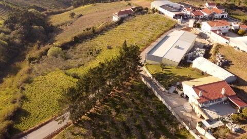 Terreno para Venda em Usseira