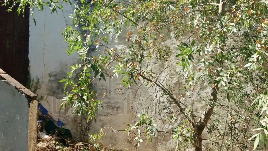Moradia T1 para Venda em São Domingos de Ana Loura