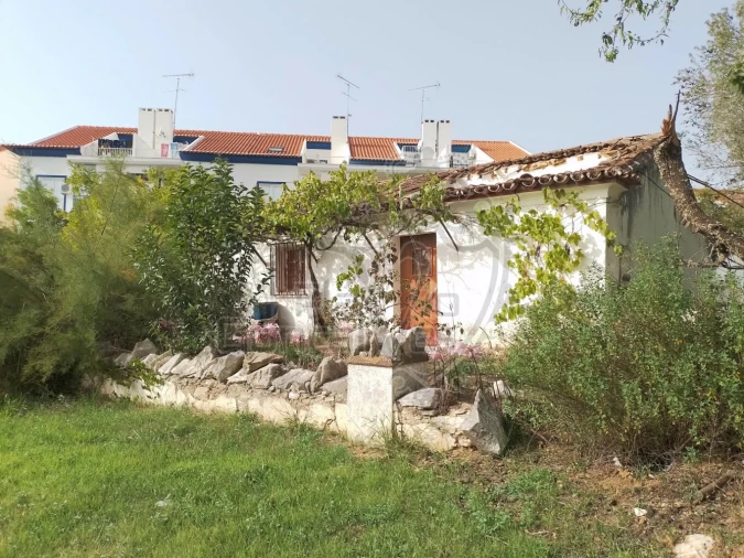 Terreno para Venda em Estremoz (Santa Maria e Santo André) Foto 5