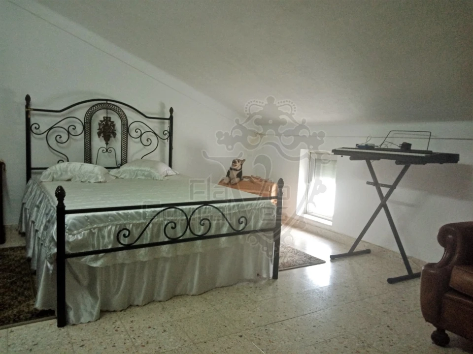 Moradia T6 para Venda em Estremoz (Santa Maria e Santo André) Foto 14