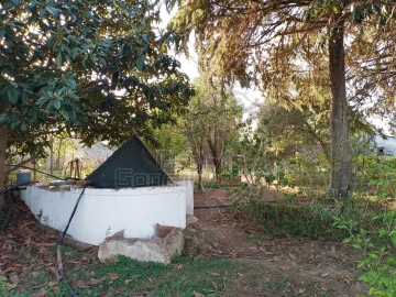 Quinta T3 para Venda em São Bento do Cortiço e Santo Estêvão