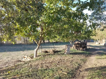 Quinta T3 para Venda em São Bento do Cortiço e Santo Estêvão