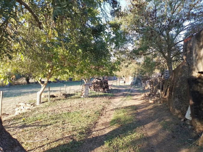 Quinta T3 para Venda em São Bento do Cortiço e Santo Estêvão Foto 9