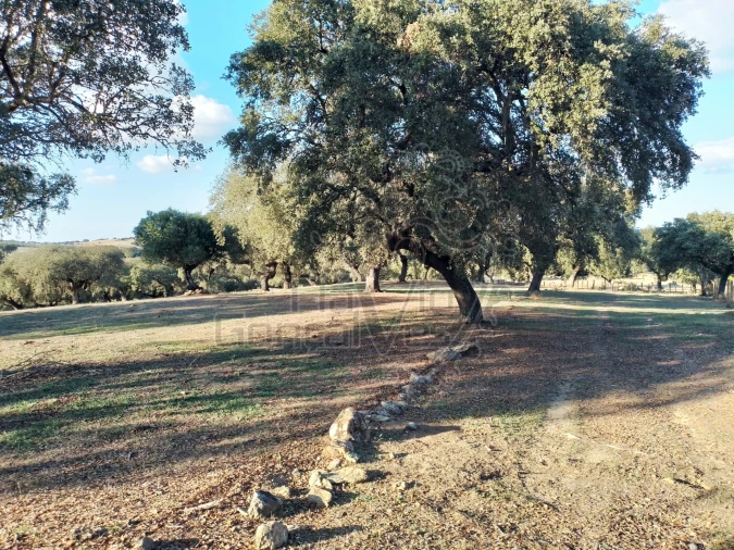 Quinta T3 para Venda em São Bento do Cortiço e Santo Estêvão Foto 11