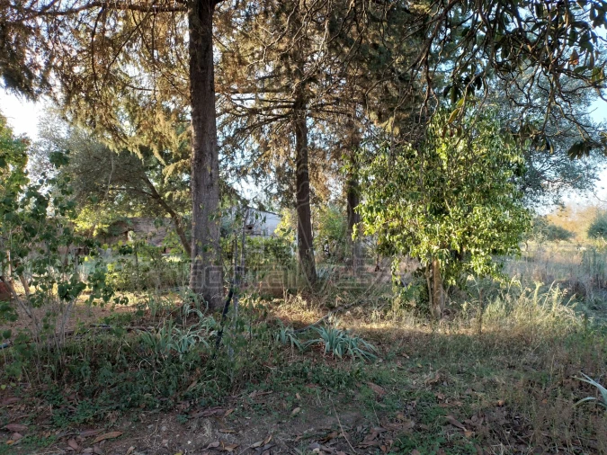 Quinta T3 para Venda em São Bento do Cortiço e Santo Estêvão Foto 5