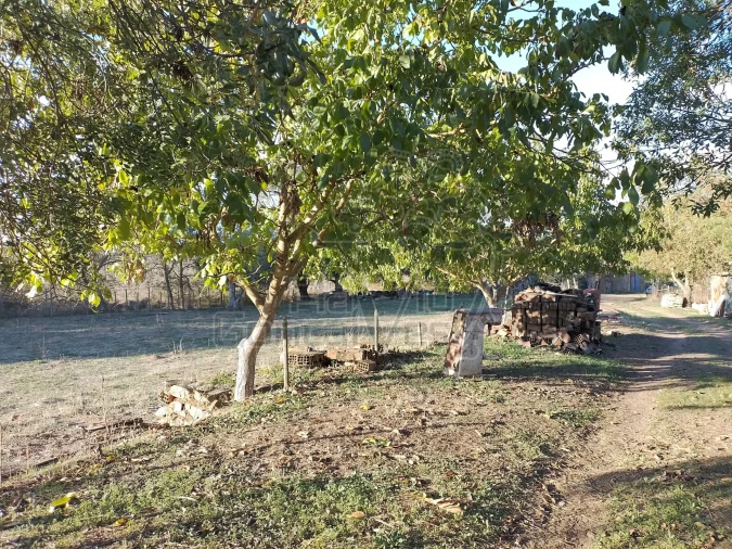 Quinta T3 para Venda em São Bento do Cortiço e Santo Estêvão Foto 8