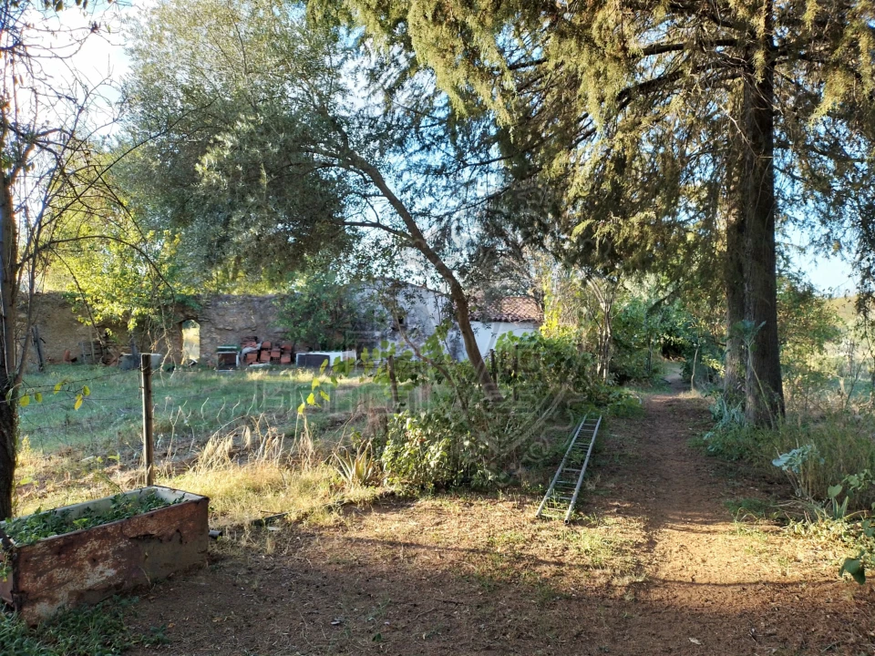 Quinta T3 para Venda em São Bento do Cortiço e Santo Estêvão Foto 7