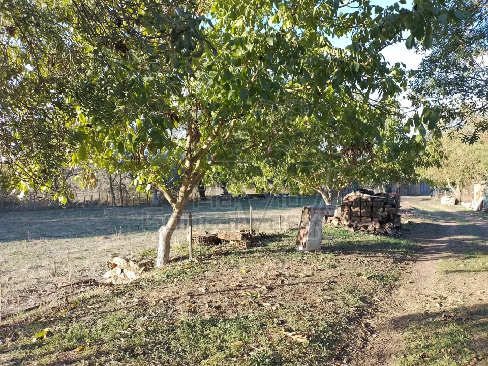 Quinta T3 para Venda em São Bento do Cortiço e Santo Estêvão Foto 8