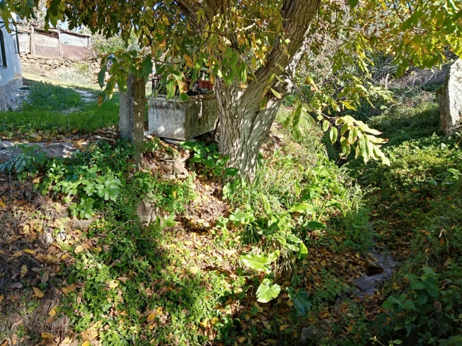 Quinta T3 para Venda em Gloria Foto 19