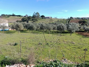 Terreno para Venda em Gloria
