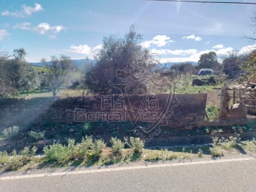 Terreno para Venda em Gloria