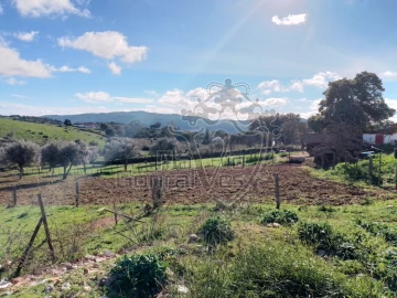 Terreno para Venda em Gloria