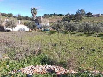 Terreno para Venda em Gloria