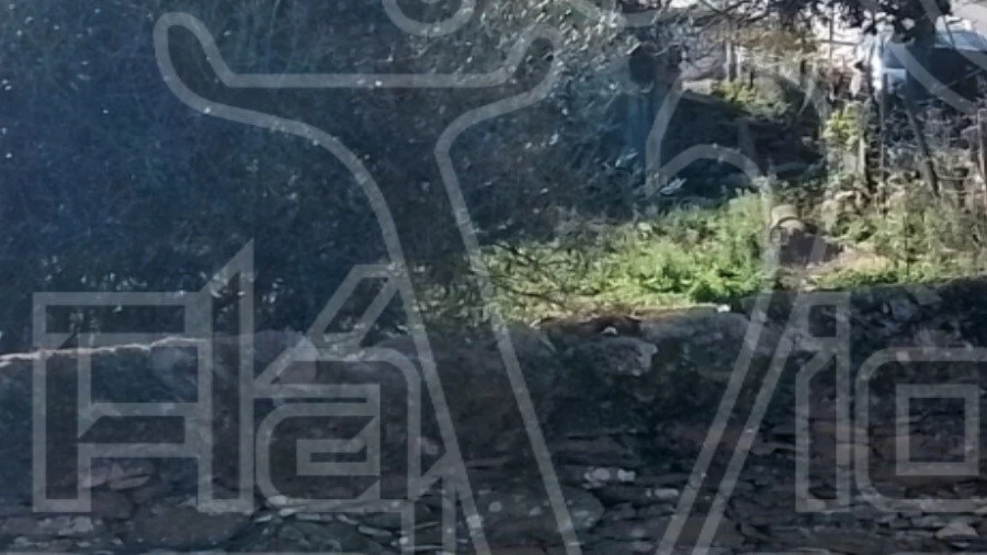 Terreno para Venda em Gloria
