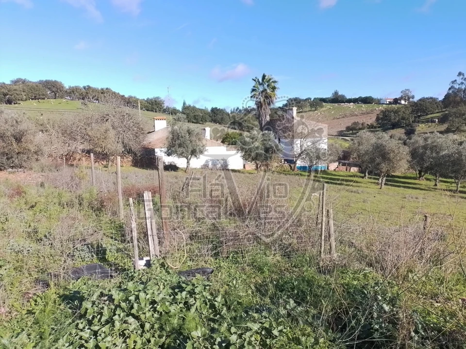 Terreno para Venda em Gloria Foto 5
