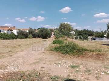 Terreno para Venda em Estremoz (Santa Maria e Santo André)