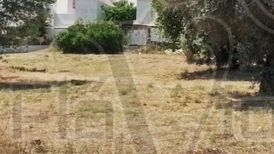 Terreno para Venda em Estremoz (Santa Maria e Santo André)