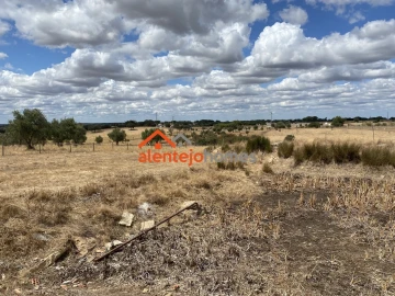 Armazém para Venda em Vimieiro