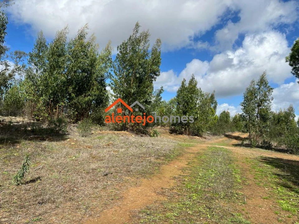 Quinta T0 para Venda em Grândola e Santa Margarida da Serra Foto 15