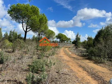 Quinta T0 para Venda em Grândola e Santa Margarida da Serra