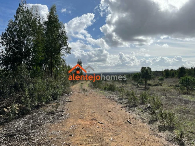 Quinta T0 para Venda em Grândola e Santa Margarida da Serra Foto 10