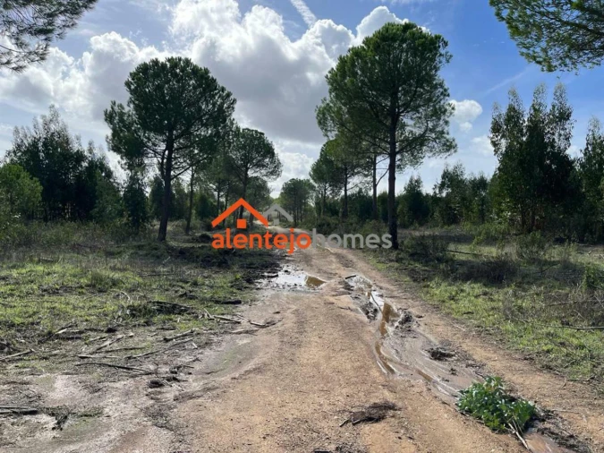 Quinta T0 para Venda em Grândola e Santa Margarida da Serra Foto 20