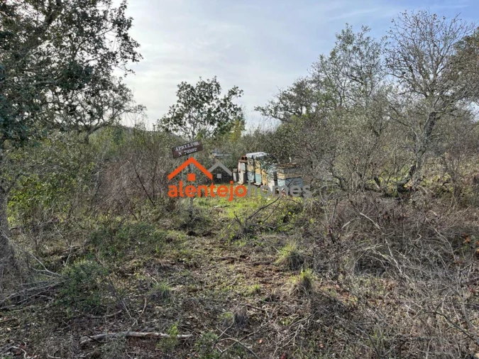 Quinta T0 para Venda em Grândola e Santa Margarida da Serra Foto 12