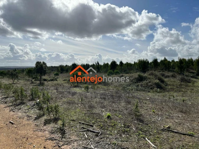 Quinta T0 para Venda em Grândola e Santa Margarida da Serra Foto 13