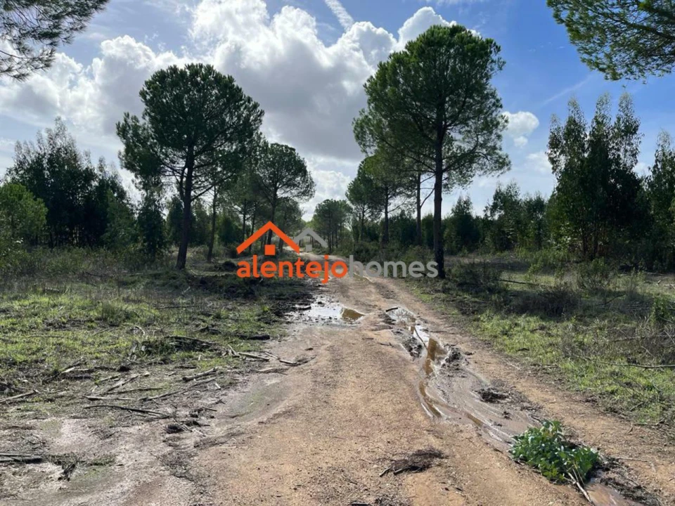 Quinta T0 para Venda em Grândola e Santa Margarida da Serra Foto 20