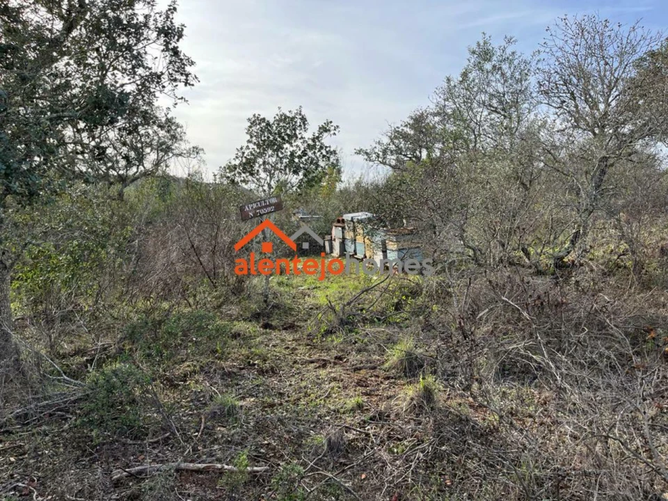 Quinta T0 para Venda em Grândola e Santa Margarida da Serra Foto 12