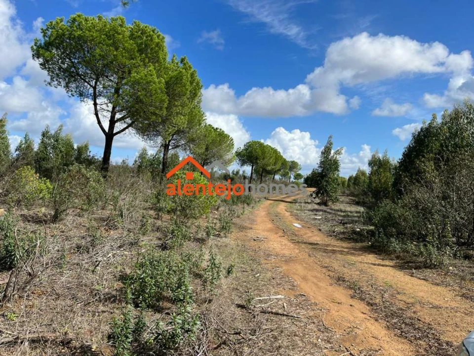Quinta T0 para Venda em Grândola e Santa Margarida da Serra Foto 16