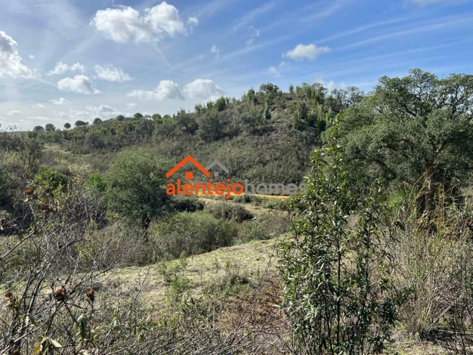 Quinta T0 para Venda em Grândola e Santa Margarida da Serra Foto 9