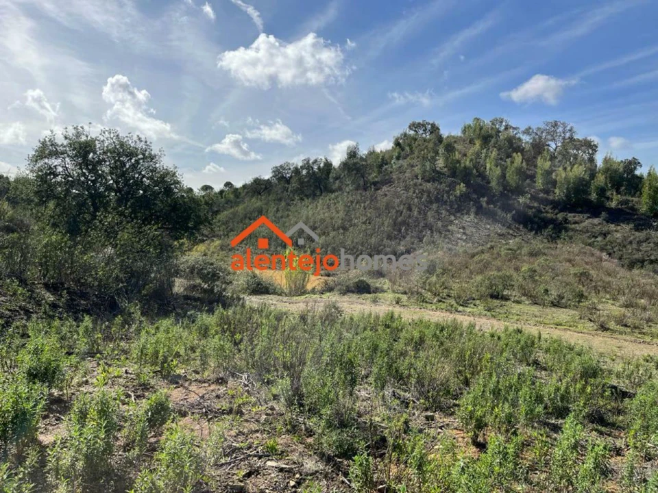 Quinta T0 para Venda em Grândola e Santa Margarida da Serra Foto 7