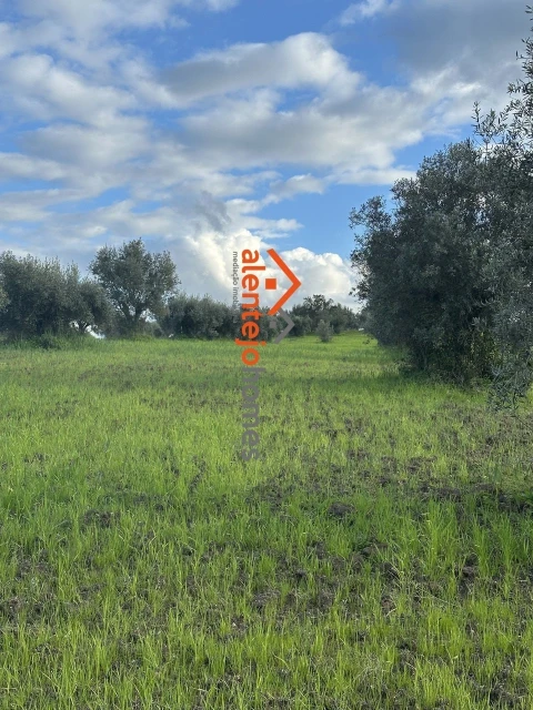 Quinta T3 para Venda em Brotas