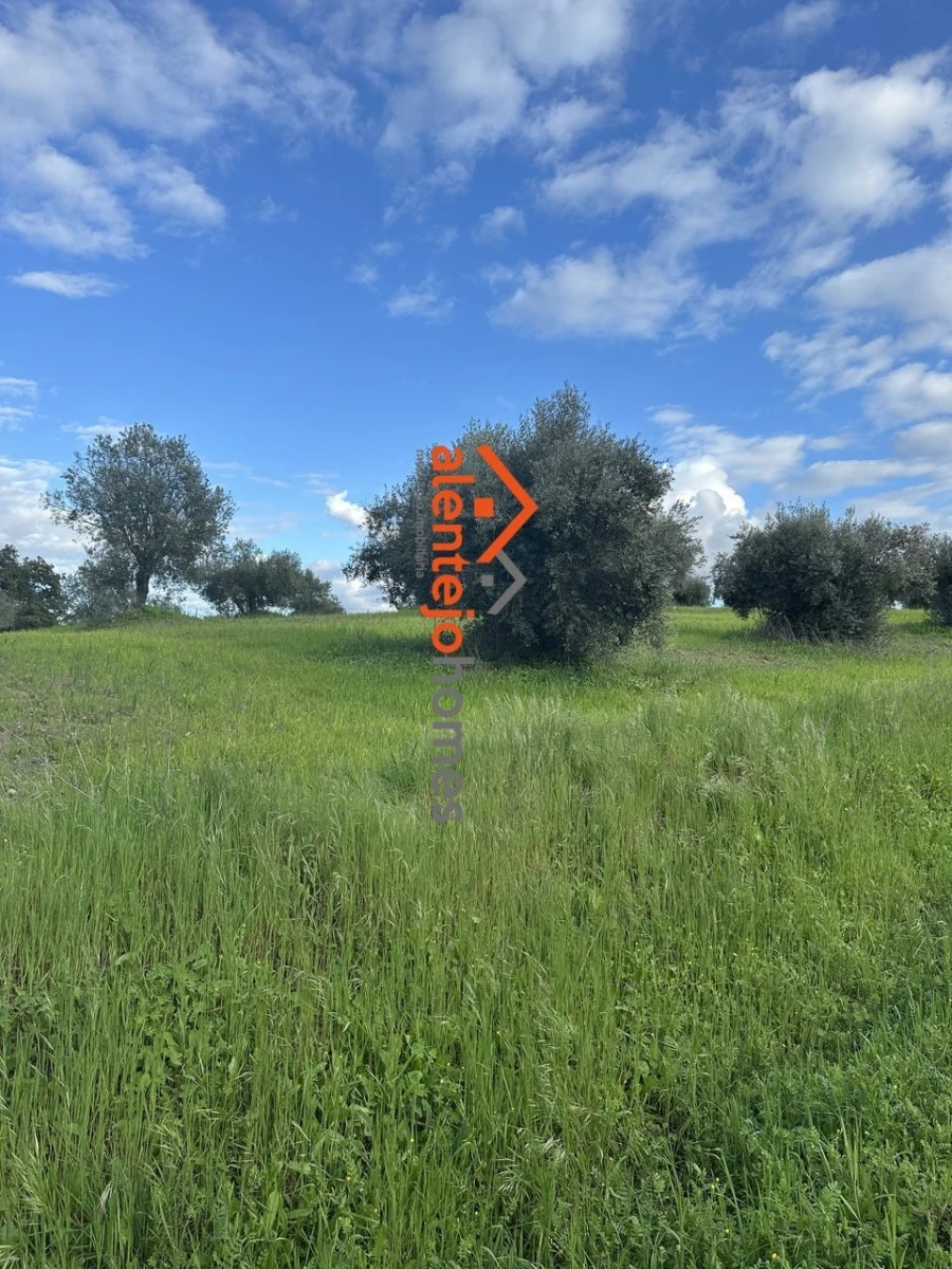 Quinta T3 para Venda em Brotas Foto 4