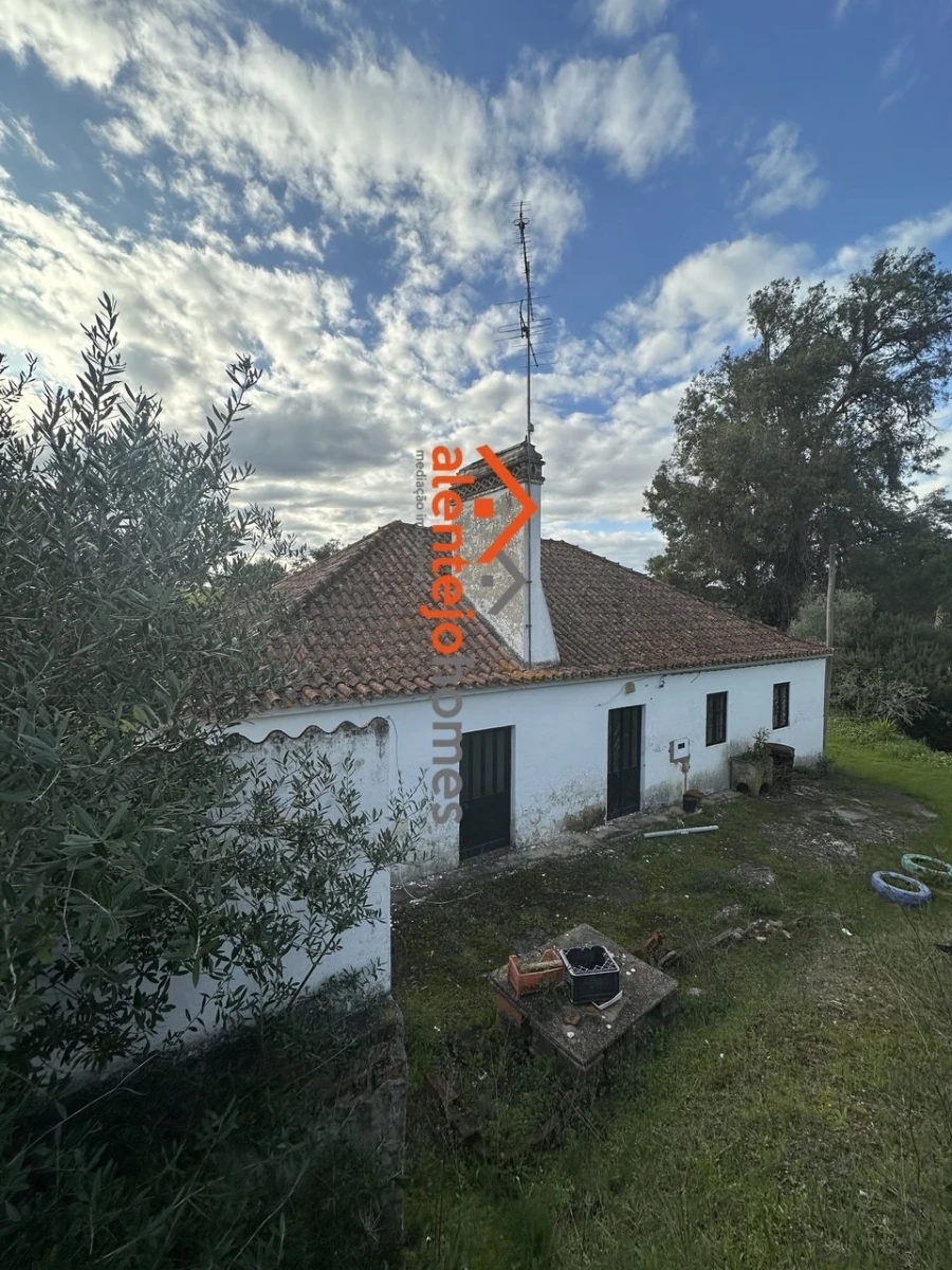 Quinta T3 para Venda em Brotas Foto 3