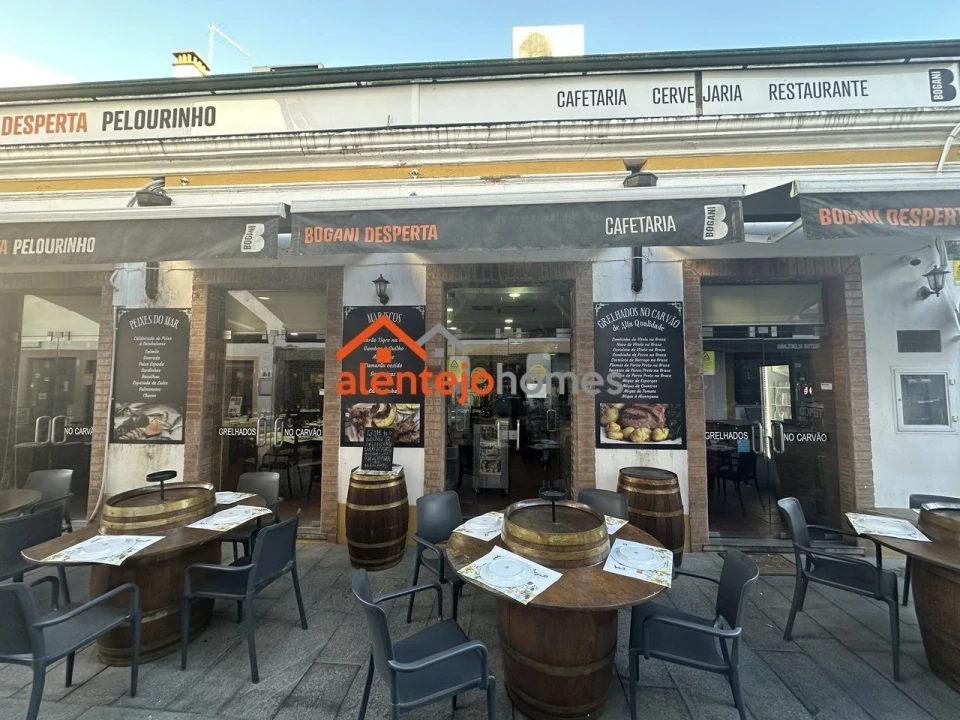 Negócio para Venda em Arraiolos Foto 4
