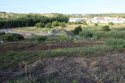 Terreno para Venda em Bombarral e Vale Covo