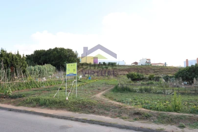Terreno para Venda em Bombarral e Vale Covo
