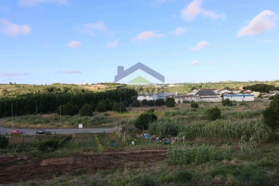 Terreno para Venda em Bombarral e Vale Covo