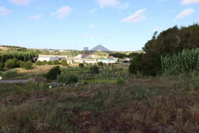 Terreno para Venda em Bombarral e Vale Covo